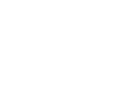 Planks in-game icon