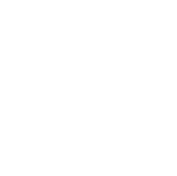 Meteorite Radar in-game icon
